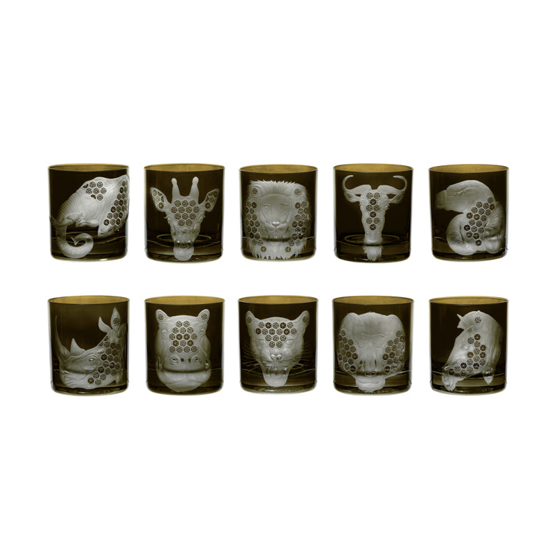 African Safari Collection Set