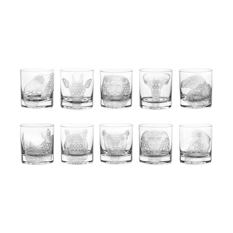 African Safari Zebra