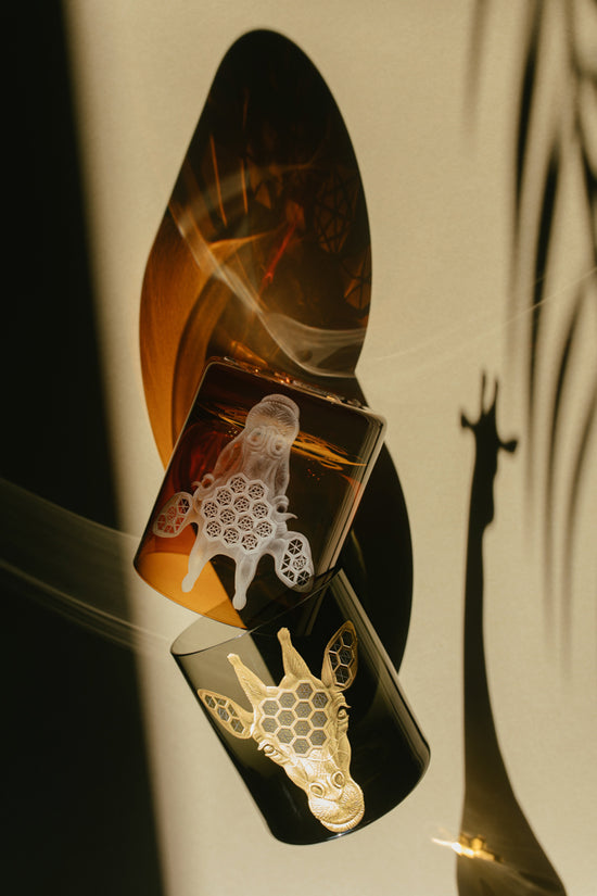 African Safari Giraffe