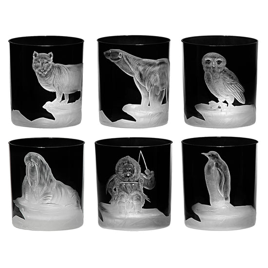 Arctic Collection Set