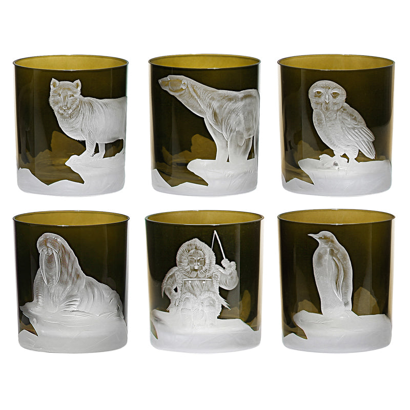 Arctic Collection Set