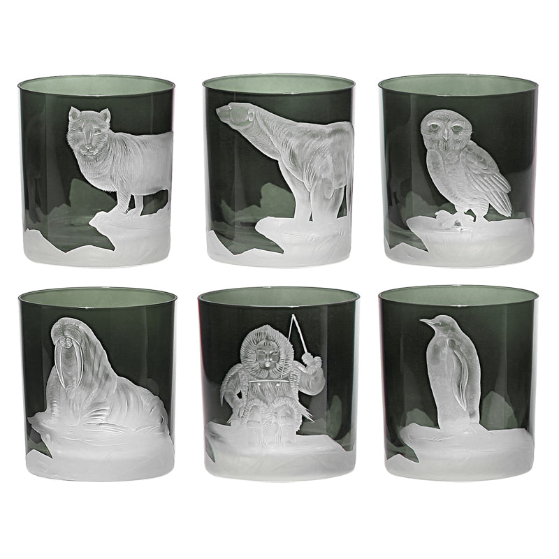 Arctic Collection Set