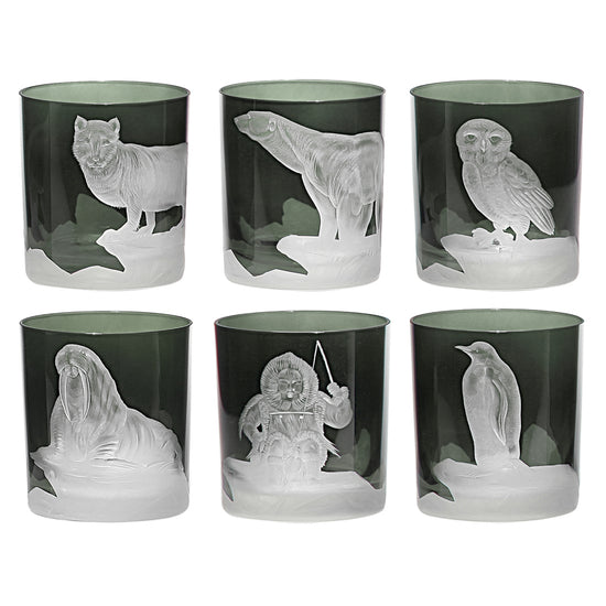 Arctic Collection Set