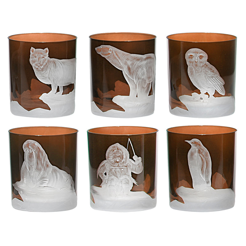 Arctic Collection Set