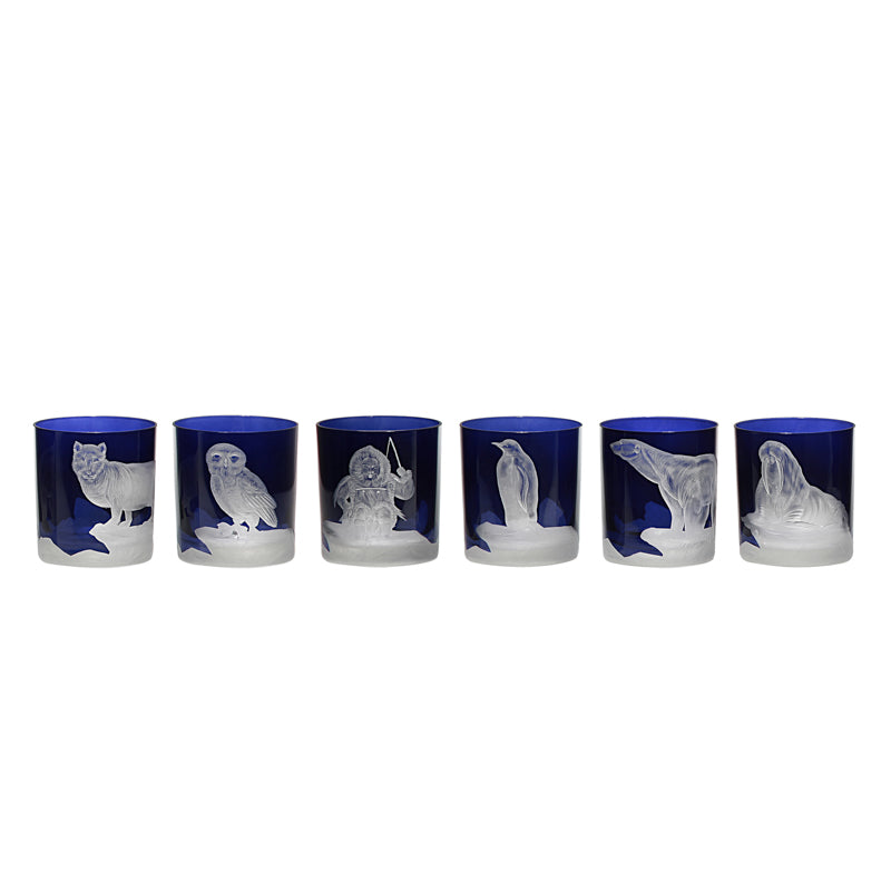 Arctic Collection Set