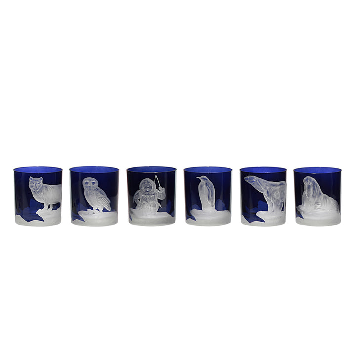 Arctic Collection Set