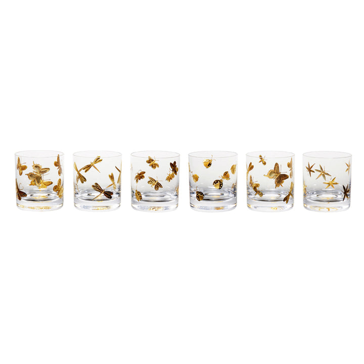 Fly Fusion Collection Set