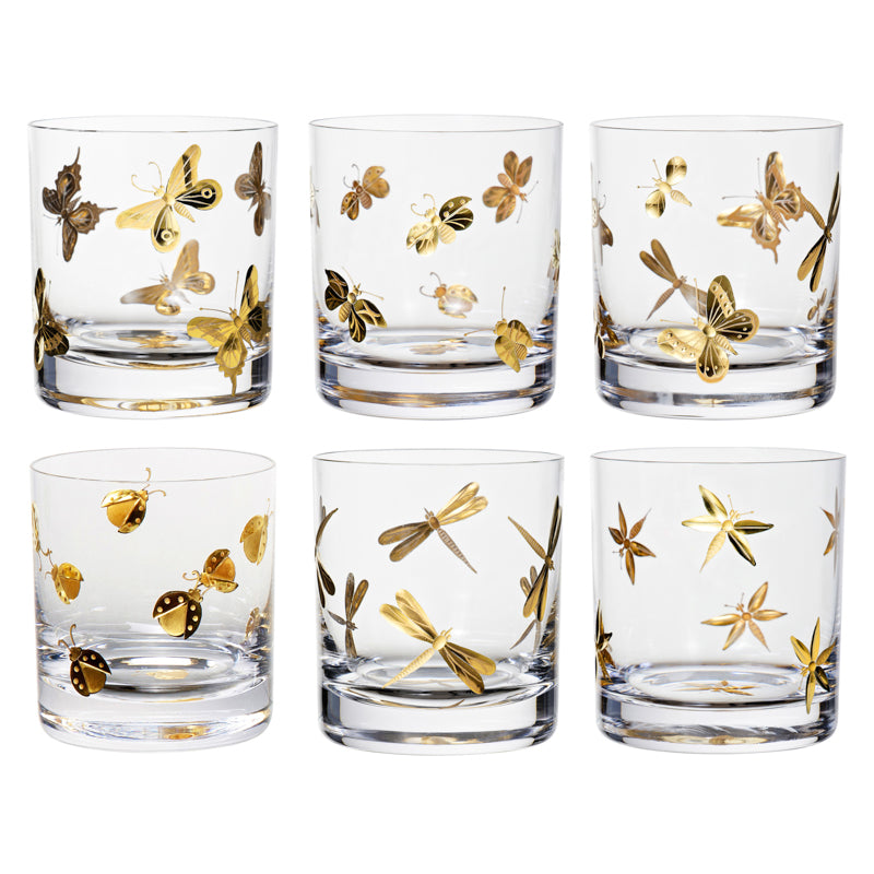 Fly Fusion Collection Set