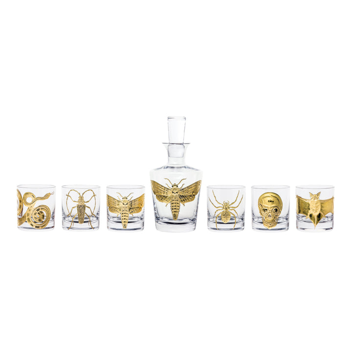 Cabinet of Curiosities Collection Set