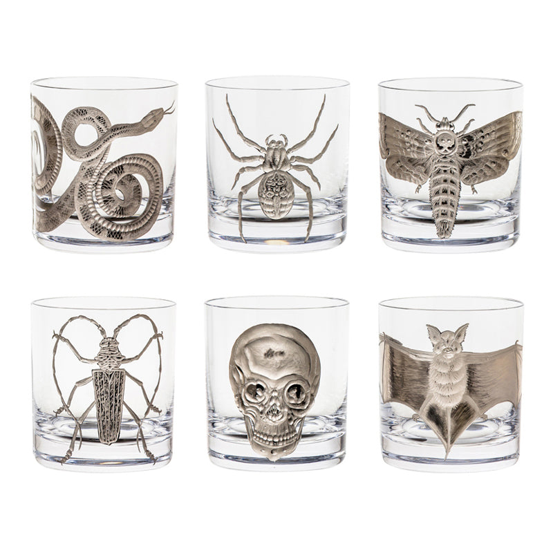 Cabinet of Curiosities Spider