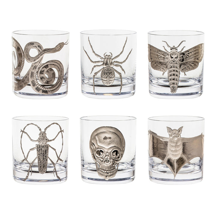 Cabinet of Curiosities Skull