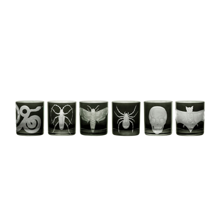 Cabinet of Curiosities Collection Set