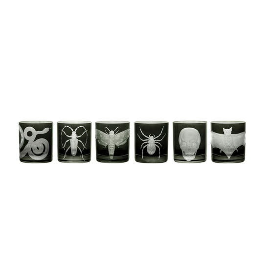 Cabinet of Curiosities Collection Set