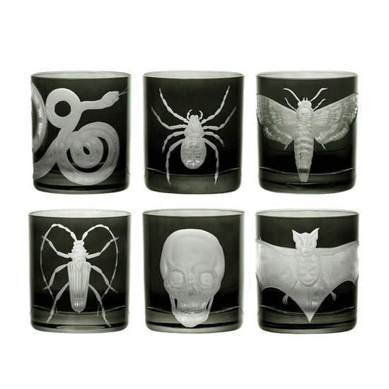 Cabinet of Curiosities Bat