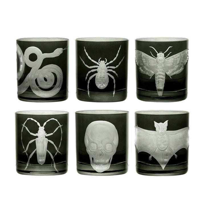 Cabinet of Curiosities Collection Set