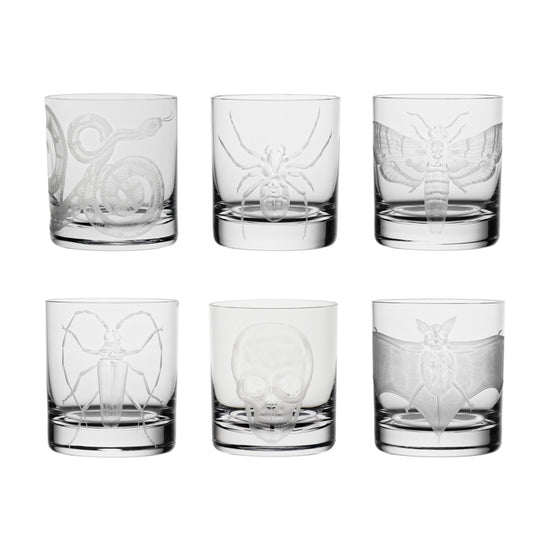 Cabinet of Curiosities Skull