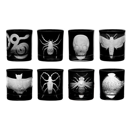 Cabinet of Curiosities Spider