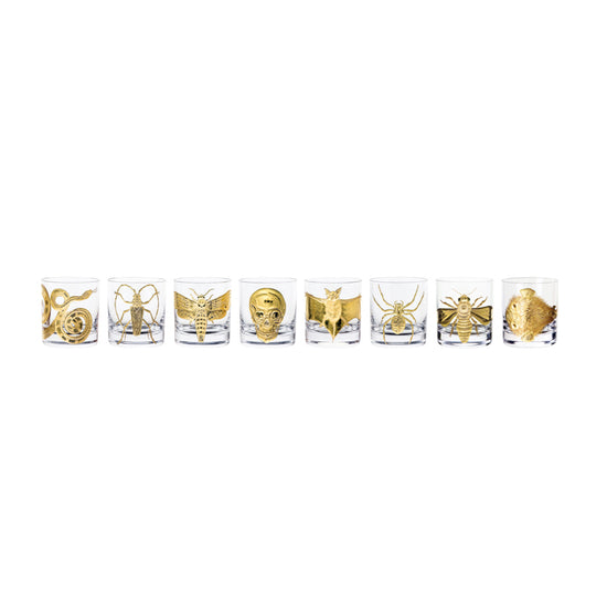 Cabinet of Curiosities Collection Set