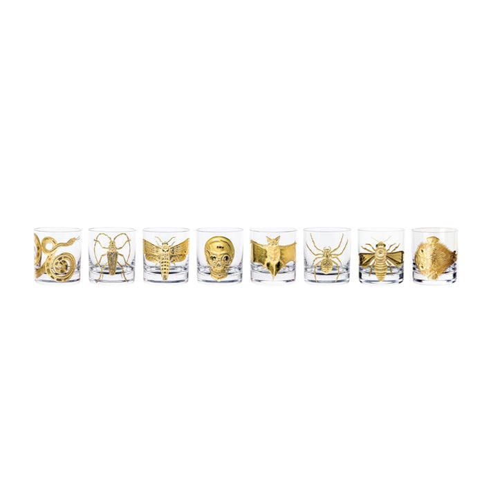 Cabinet of Curiosities Collection Set