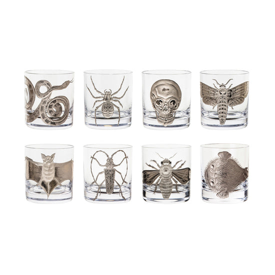Cabinet of Curiosities Skull
