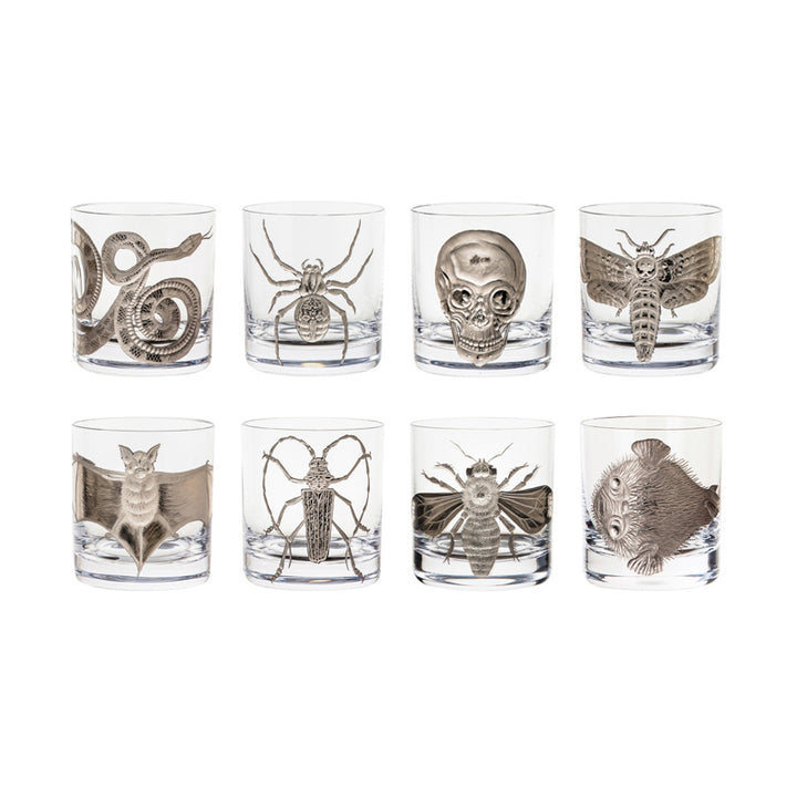 Cabinet of Curiosities Blowfish