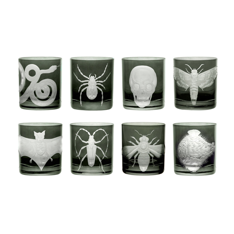 Cabinet of Curiosities Bat