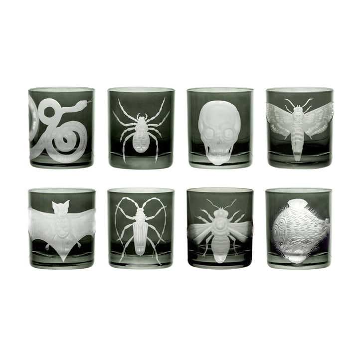 Cabinet of Curiosities Imperial Bee