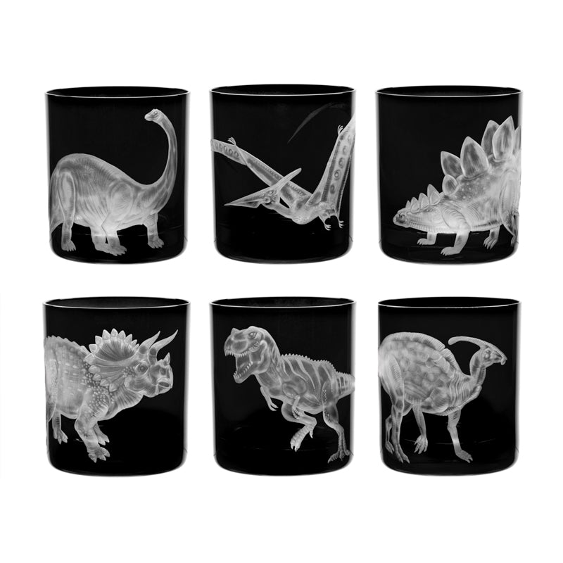 Dinosaur Collection 1 Set