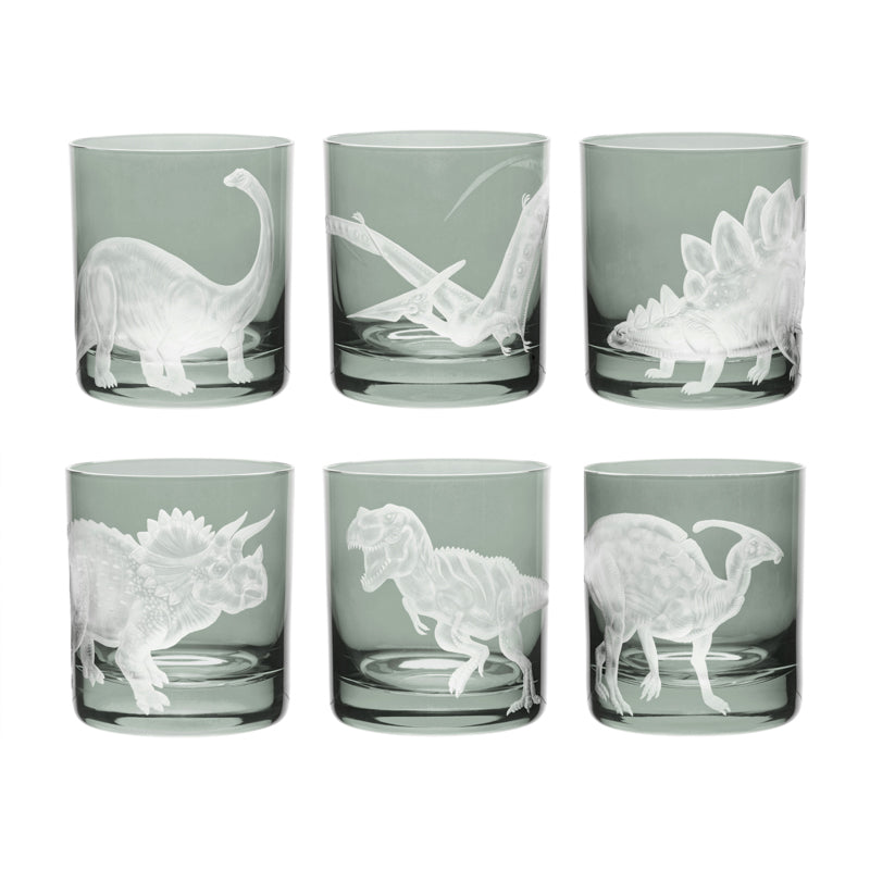 Dinosaur Collection 1 Set