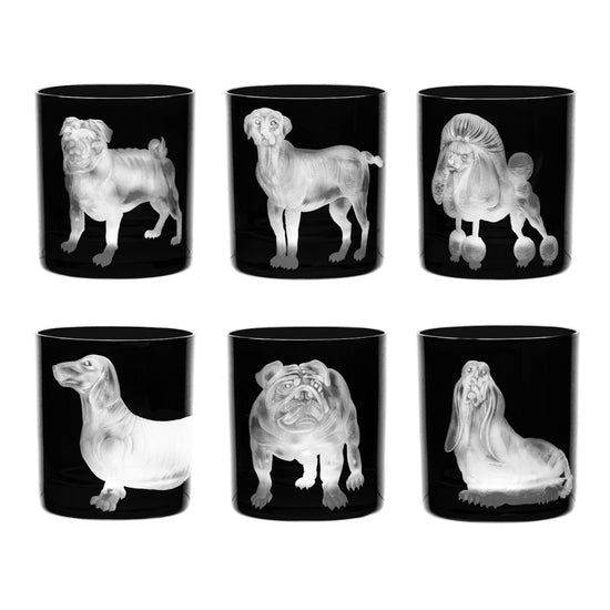 Dog Basset Hound