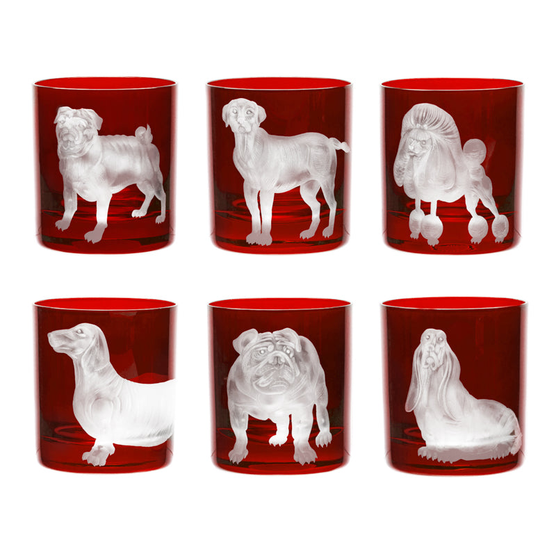 Dog Basset Hound