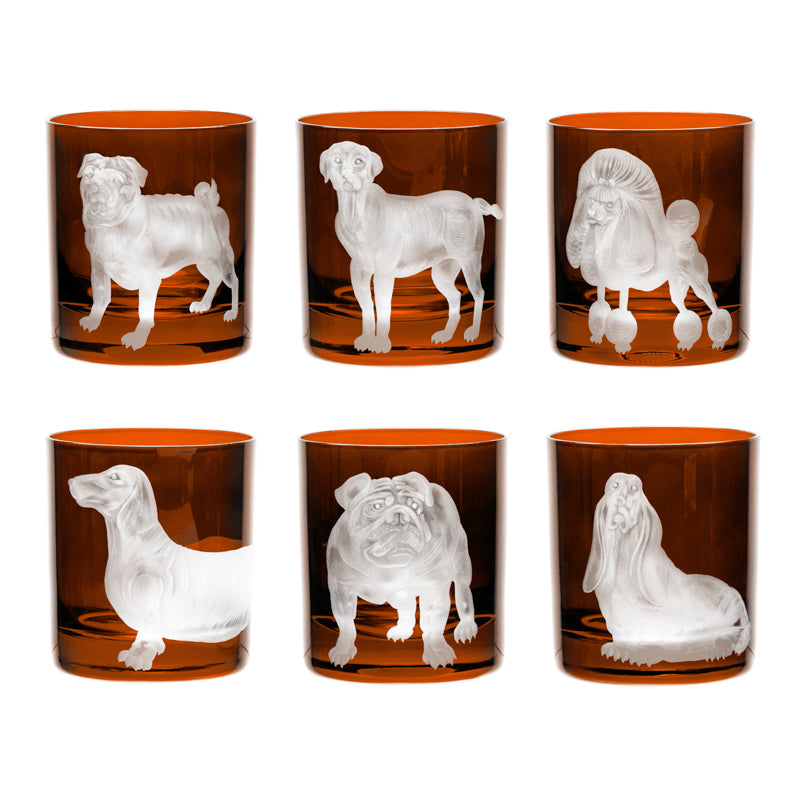 Dog Basset Hound