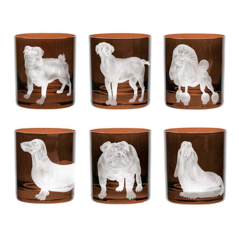 Dog Basset Hound