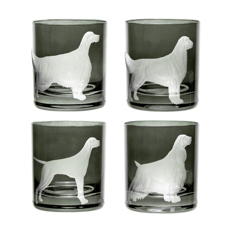 Best Of Breed Springer Spaniel