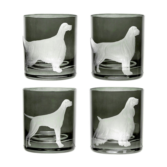 Best Of Breed Springer Spaniel