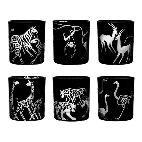 Safari Giraffes