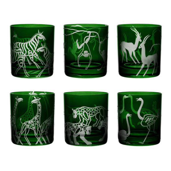 Safari Giraffes