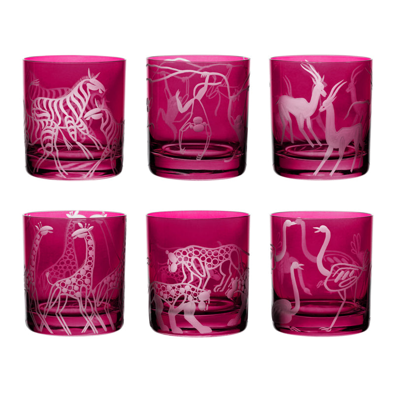 Safari Giraffes