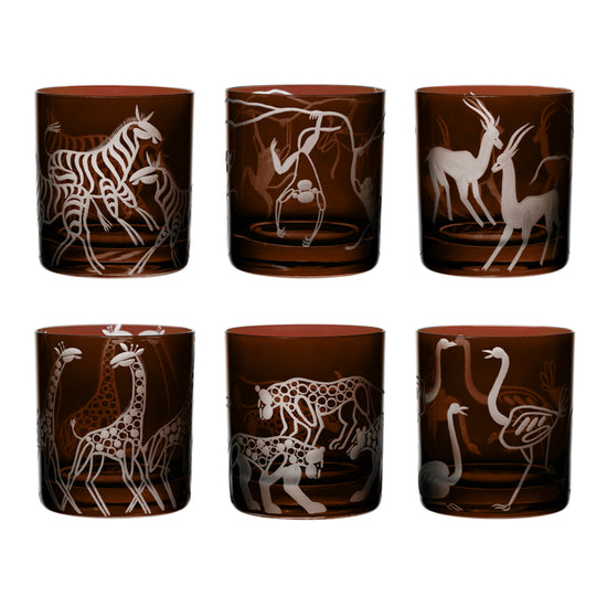 Safari Zebras