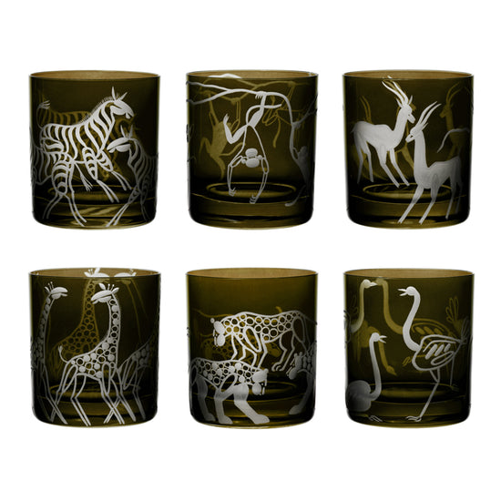 Safari Giraffes
