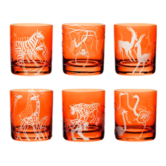 Safari Giraffes