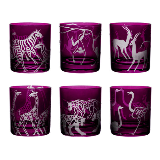 Safari Giraffes
