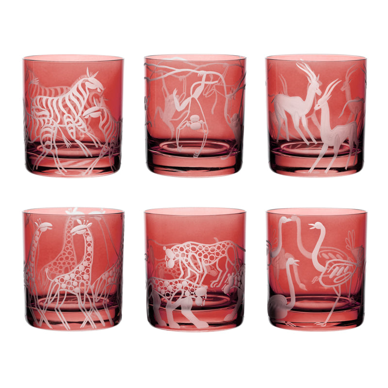 Safari Giraffes