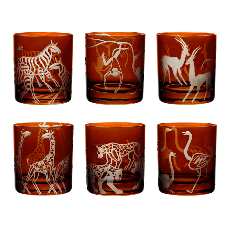 Safari Giraffes
