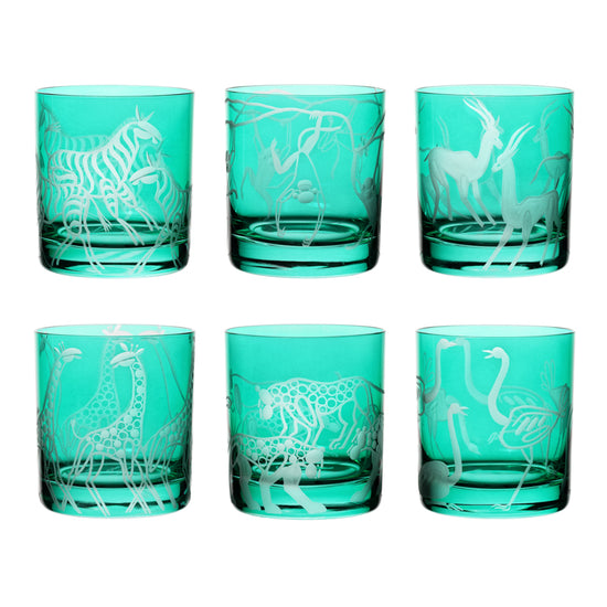 Safari Giraffes