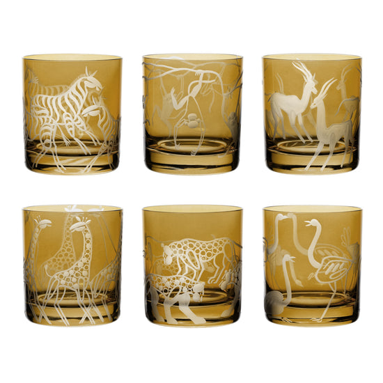 Safari Giraffes