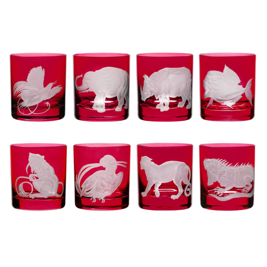 Jungle Baroque III Piranha