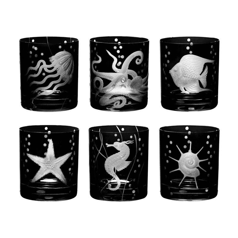 Sea Life Collection Set