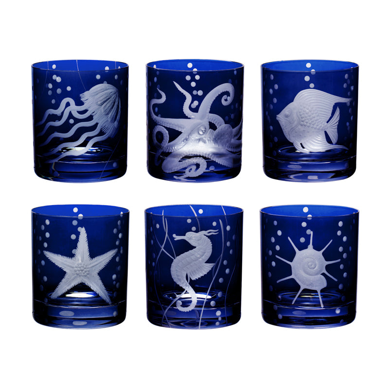 Sea Life Collection Set