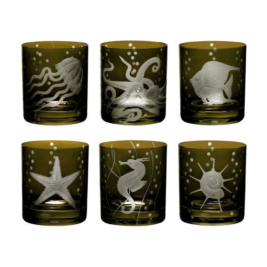 Sea Life Collection Set